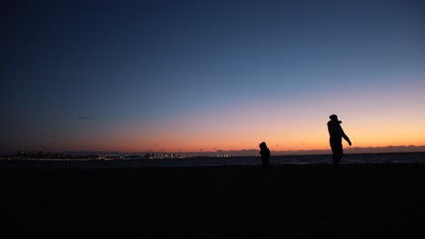 silhouette of people on beach at sunset