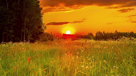 Lapso-De-Tiempo-De-La-Salida-Del-Sol-En-El-Cielo-Dorado-Sobre-El-Campo-Verde-Y-Rural-Al-Amanecer