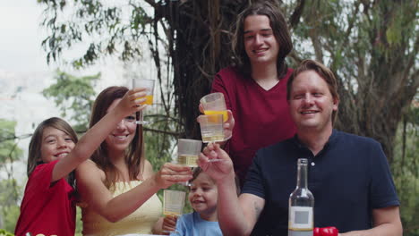 happy caucasian family clinking glasses and looking at the camera while sitting at table and having a picnic