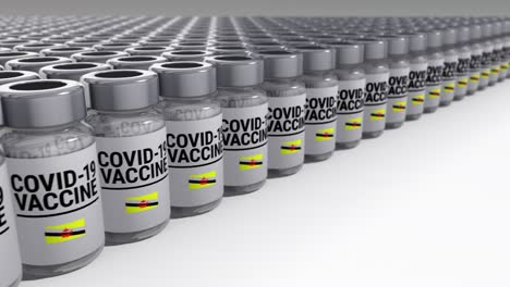 covid-19 vaccine bottles brunei