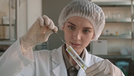 scientist conducting plant tissue culture experiment