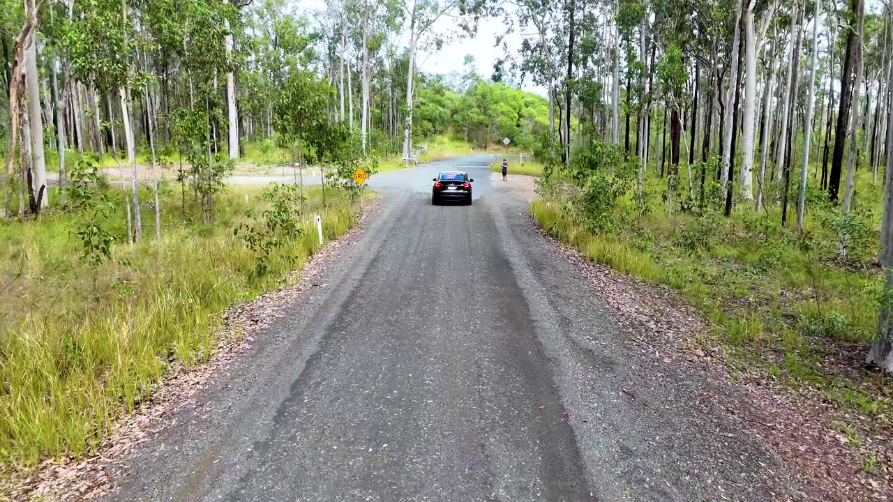 A black car travels along a gravel road through a eucalyptus forest in daylight, captured with smooth forward camera movement and natural lighting