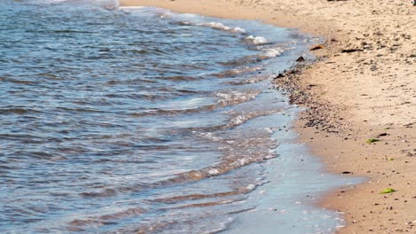 waves gently lapping the sandy shore