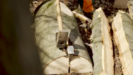 Metallkeil,-Der-Im-Baumstamm-Steckt-Und-Von-Einer-Axt-Auf-Dem-Waldboden-Getroffen-Wird