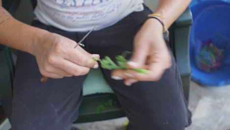 woman prepares zucchini flowers for traditional kalamata food outdoors