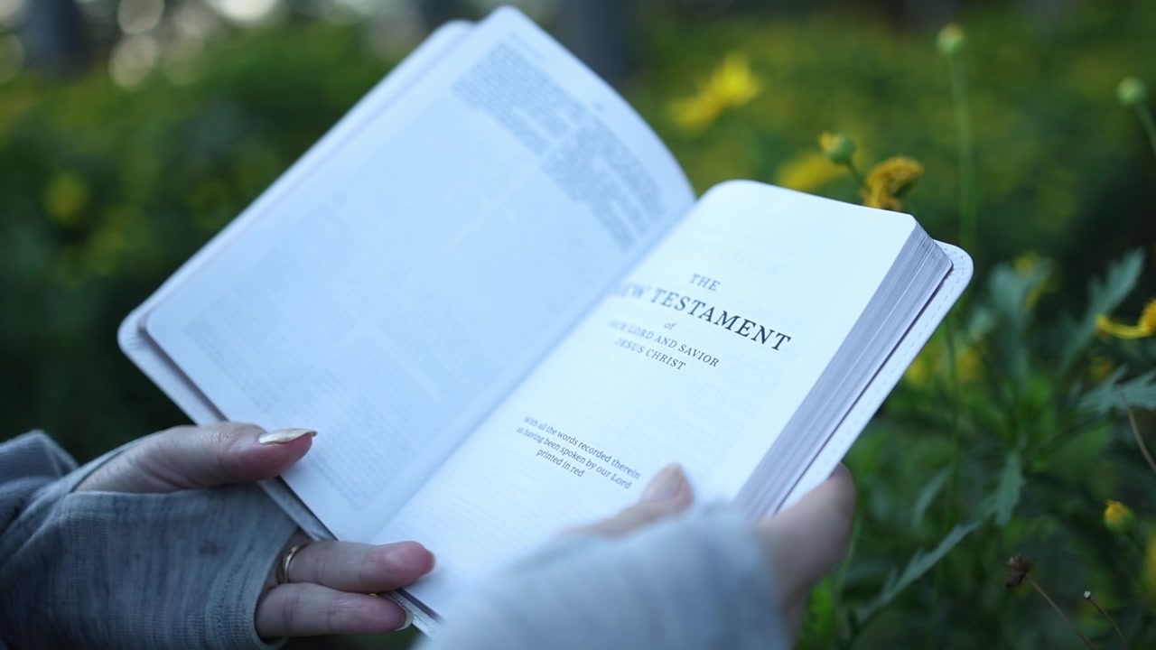Intimate close-up shot of hands holding and reading a New Testament Bible amid blooming yellow wildflowers in natural daylight, featuring soft focus, shallow depth of field, and tranquil mood.