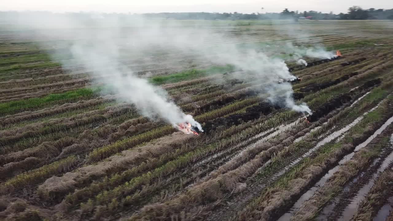 Vista aerea di paglia bruciata all'aperto in Malesia, Sud-est asiatico