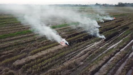 aerial view of open burning straw at malaysia, southeast asia.