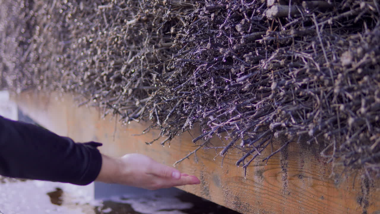 la salmuera gotea por la torre de graduación con arbustos de espino negro, casa de espino