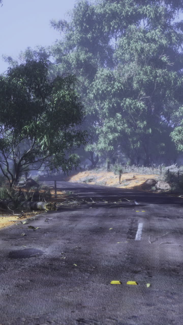 Moody landscape with a winding road and dense foliage under a misty sky
