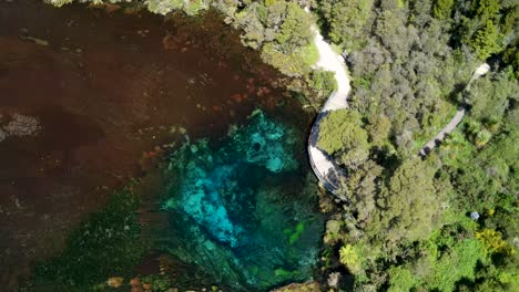 hermoso sobrevuelo aéreo de las fuentes de te waikoropupu en nueva zelanda