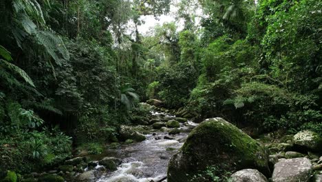 Langsame-Bewegung-Der-Kamera-Durch-Den-Fluss-Im-Regenwald-In-Brasilien