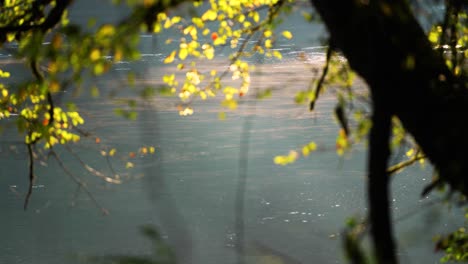 scenic view of river early in the morning