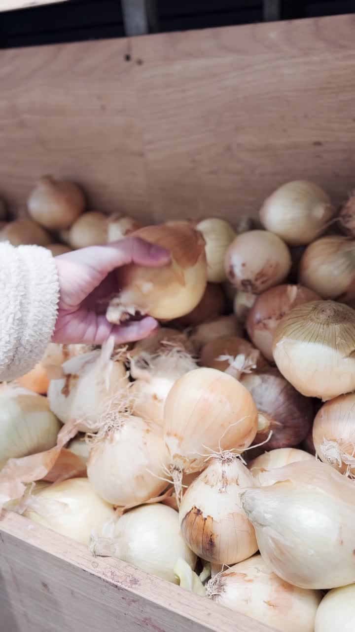 Hand holding onion in a wooden box of onions at a market