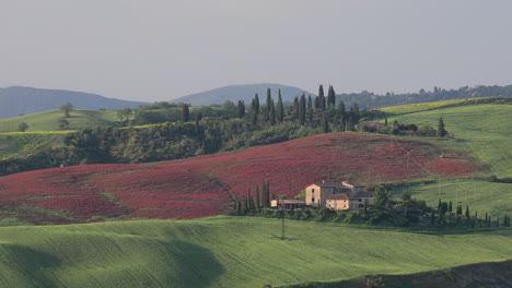 a lone farmhouse in the val d'orcia in tuscany, italy