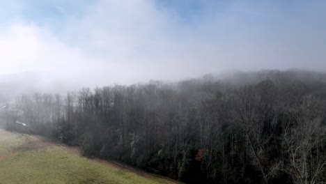 fog hanging over the treetops in wilkes county nc, north carolina
