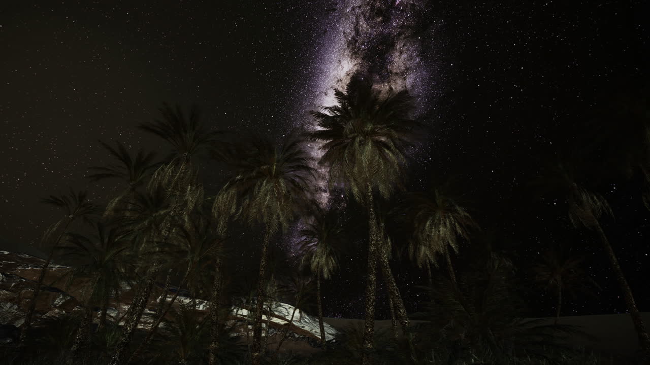 사막의 나무 위의 별이 빛나는 밤은 멋진 은하계 전망을 보여줍니다.