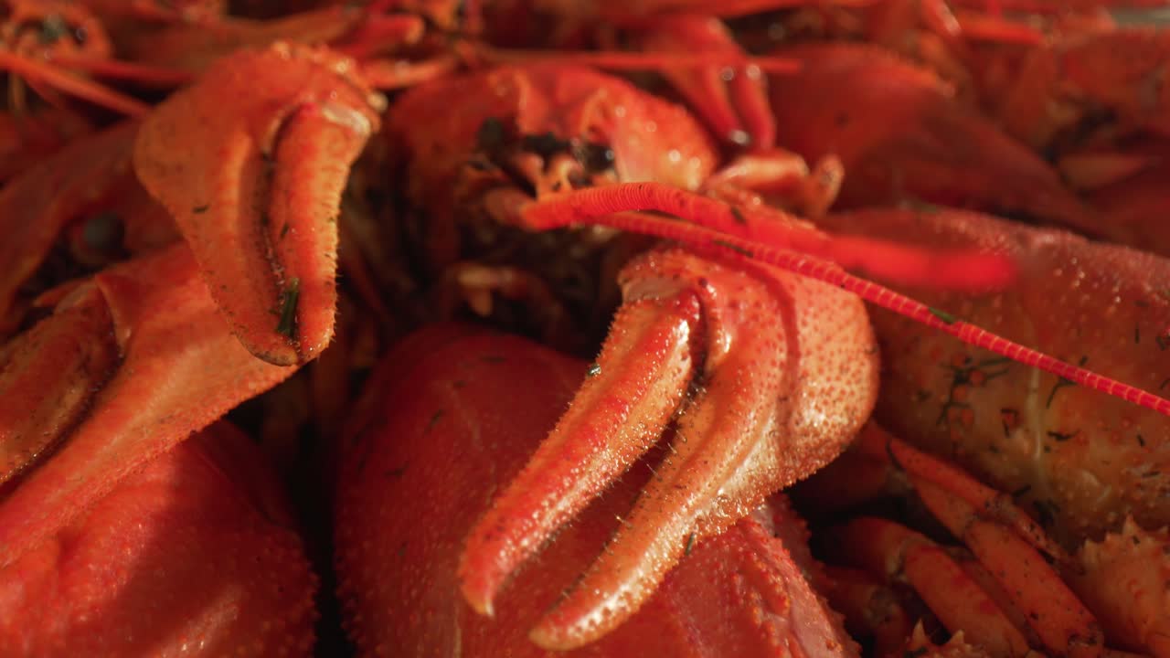 요리된 크레이프 클로즈업