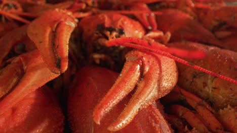 Boiled-crayfish-close-up