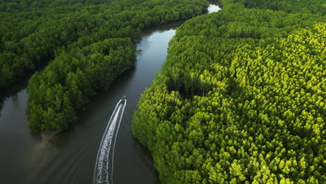 Tourist-boat-driving-through-a-mangrove-forest-in-Thailand,-aerial-following-shot