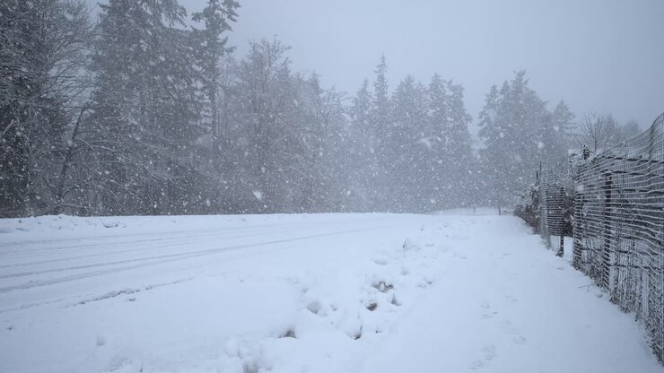 Forte nevicata su una strada di paese mentre un'auto passa