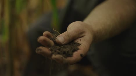 a farmer checking soil quality through soil test by his hand