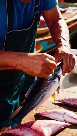 fishing port and market scene