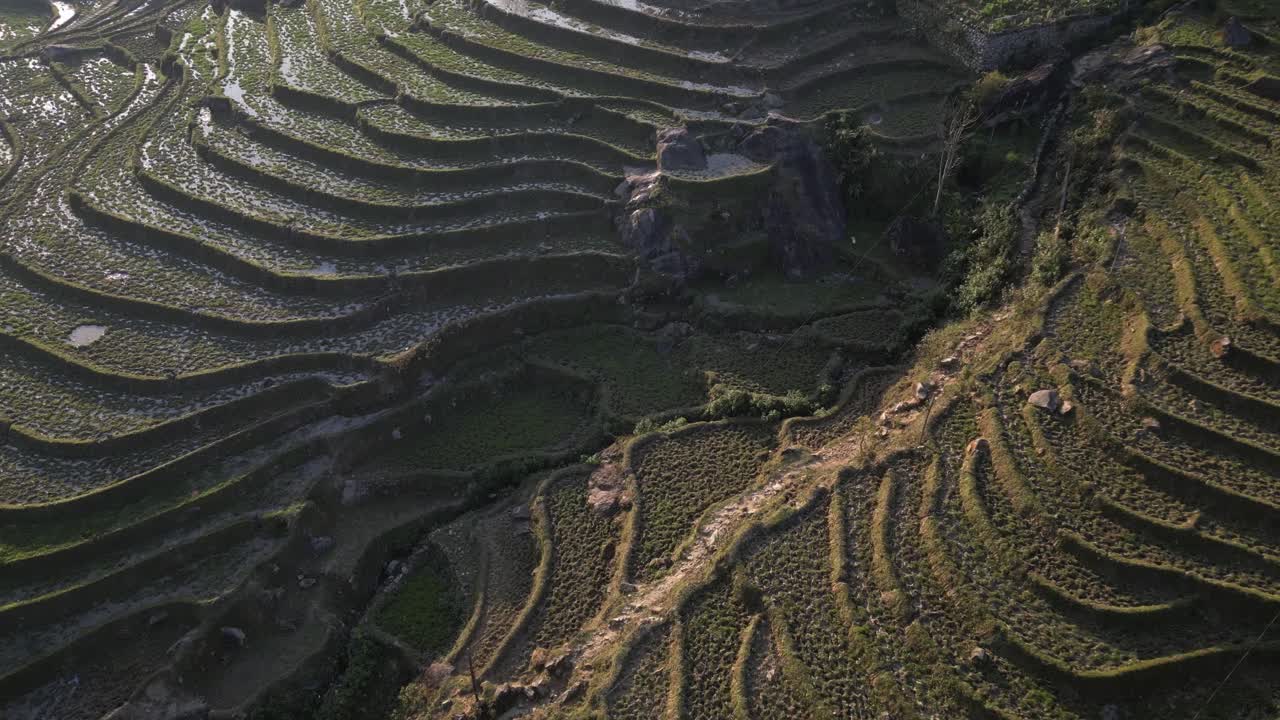 vista desde arriba de las terrazas de arroz de color verde brillante en las montañas de sapa, vietnam