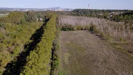 Aerial-tracking-shot-of-a-vintage-car-driving-through-the-countryside-past-vineyards