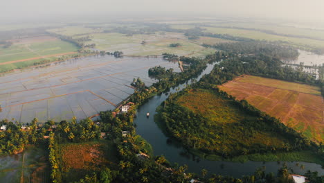 aerial view of kerala backwaters and rice paddies
