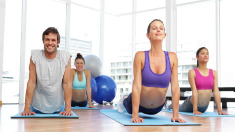 Yoga-class-doing-cobra-pose-together-on-exercise-mats