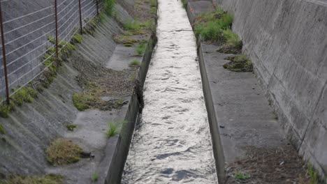 Japanese-Rice-Farm-Drainage-Canal,-Flowing-Fresh-Water-from-Mt-Daisen,-Tottori