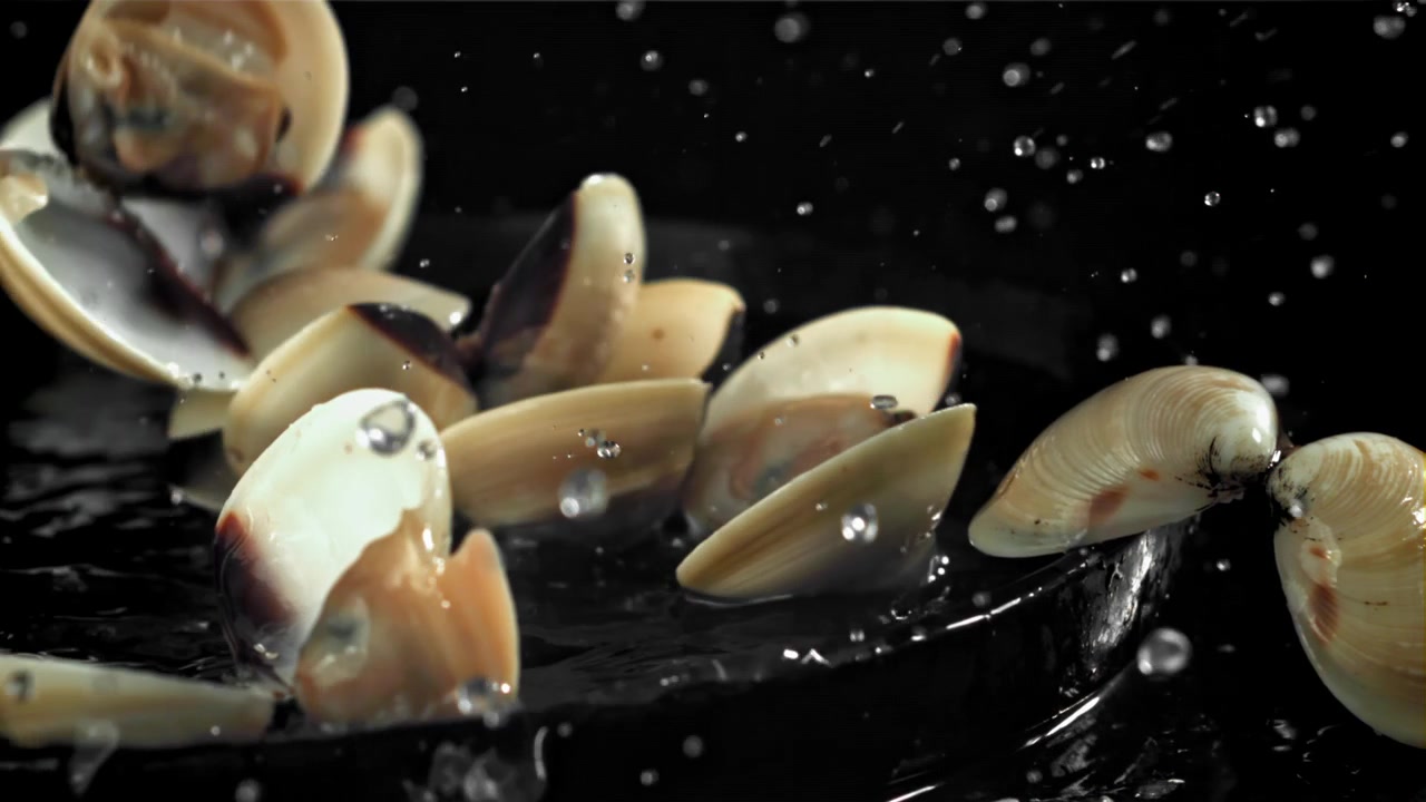 Vongole fresche che cadono in acqua con schizzi al rallentatore