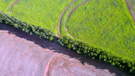 Farm-in-Brazil-with-a-freshy-plowed-field-and-one-growing-crops---aerial-pullback-reveal