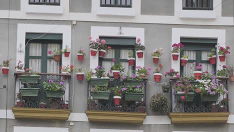hondarribia, spain – medium shot of traditional balconies decorated with colorful flower pots on a gray residential building, on an overcast spring day in the historic basque town.