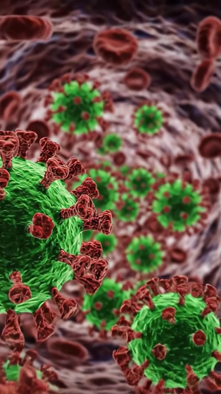 Vista ravvicinata di particelle virali nel flusso sanguigno: visualizzazione microscopica di strutture virali con globuli rossi all'interno di un corpo umano.