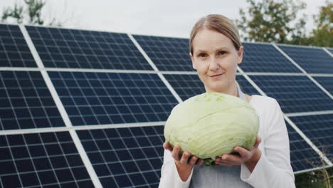 mujer agricultora sosteniendo la cabeza de repollo, de pie contra el fondo de la planta de energía solar