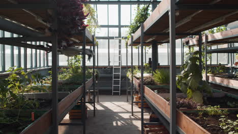 interior of a greenhouse