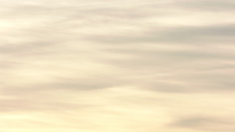 Gaviotas-Volando-En-El-Cielo-Durante-La-Hora-Dorada-Del-Atardecer