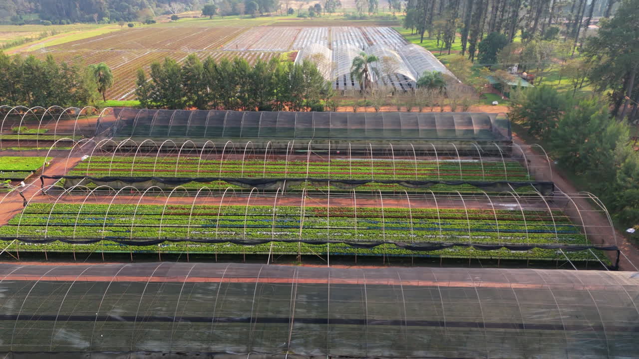 Greenhouses cultivation drone panoramic aerial slide, agriculture horticulture
