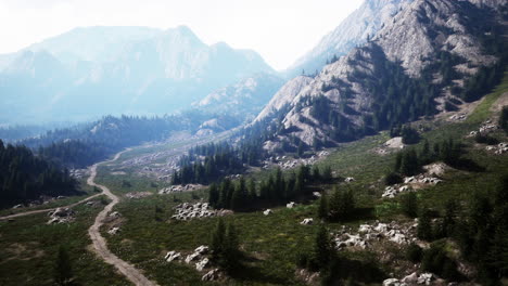 Winding-road-in-the-mountains-with-pine-forest