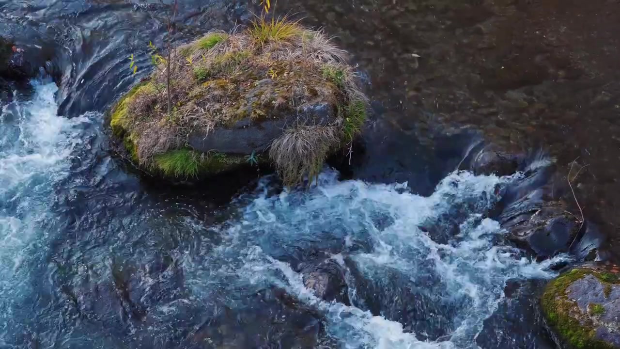 Fast-moving freshwater surges between rocks in a mountain river, creating foamy whitewater and turbulent currents around a moss-covered boulder.