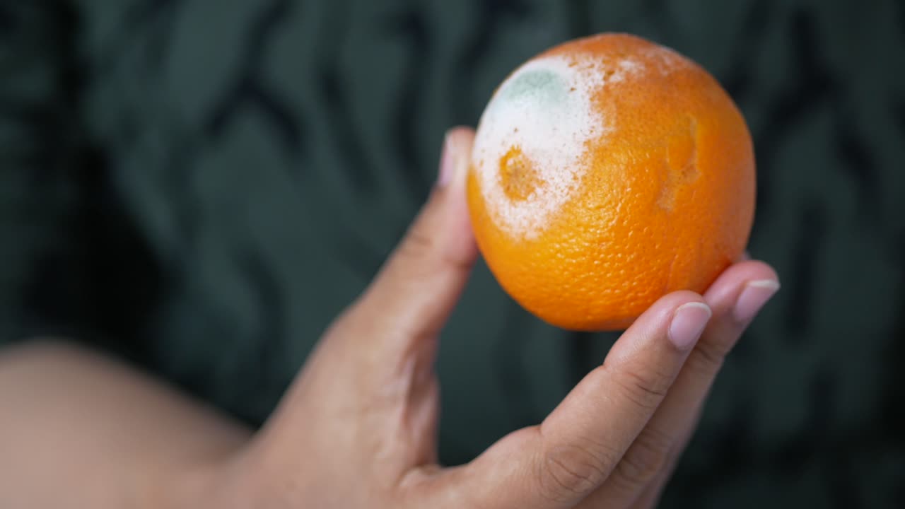 naranja moho: signos de deterioro y desperdicio de alimentos