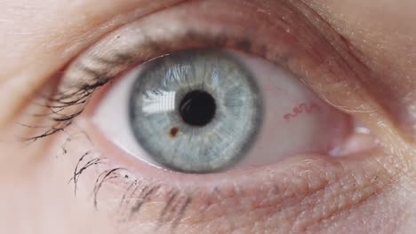macro vista de cerca del ojo humano azul sin parpadear