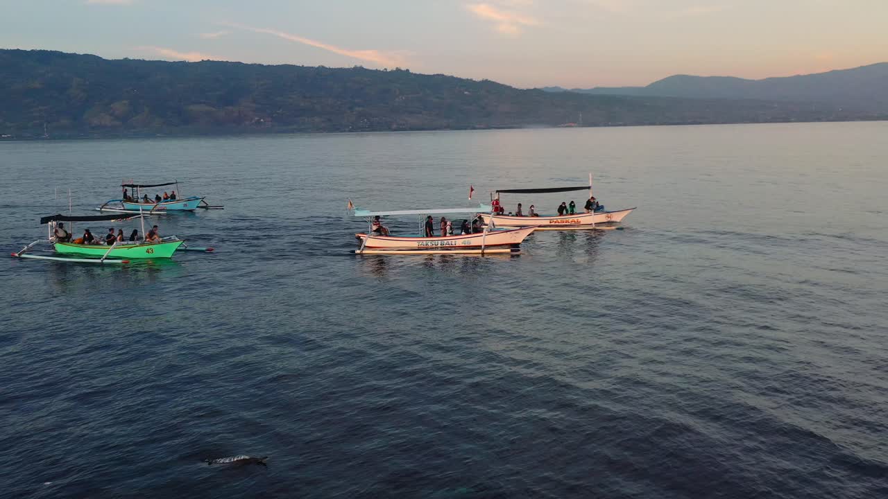 인도네시아 발리 발리에서 일출 동안 돌고래 보트 투어를 하는 관광객들과 함께 다채로운 주쿵 보트의 공중