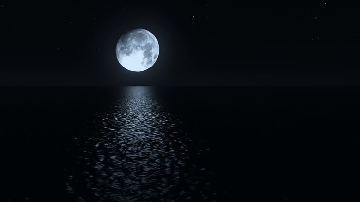 Moonlit Ocean at Night