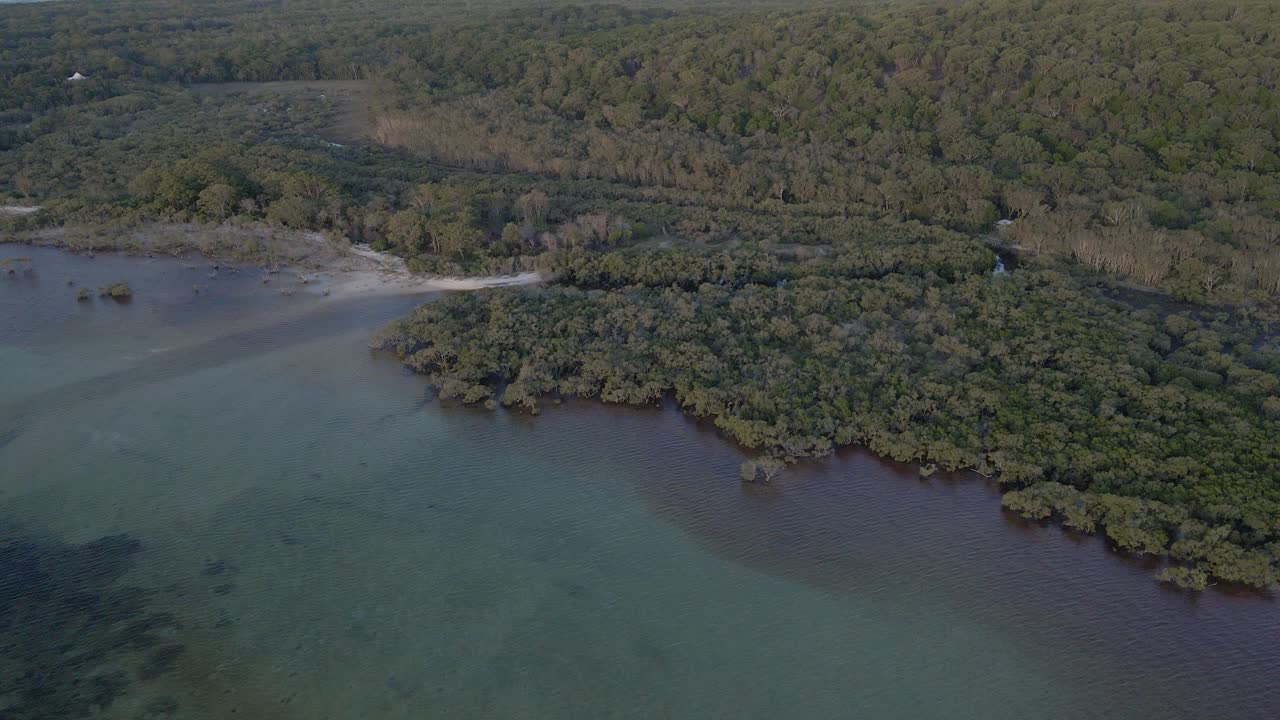 호주 노스 스트래드브룩 섬 퀸즐랜드에 있는 플라잉 폭스 크릭의 아미티 포인트와 잔잔한 물의 넓은 플랜테이션