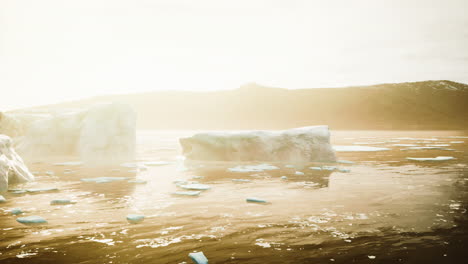 icebergs in the arctic ocean