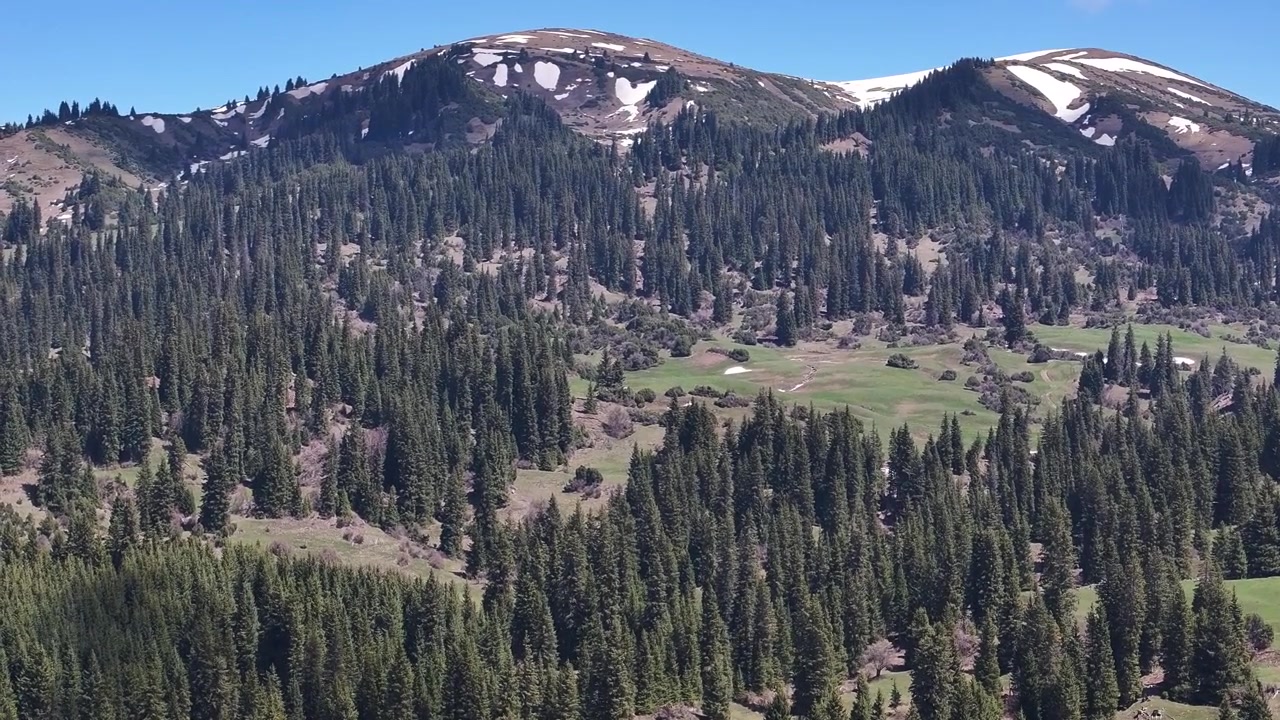 Aerial crane of snow patches on hill and spruce conifer forest Central Asia landscape of Kyrgyzstan.