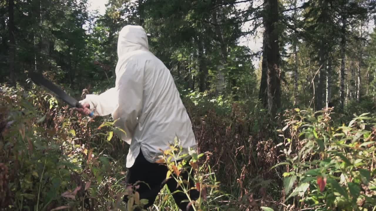 persona haciendo senderismo en un bosque